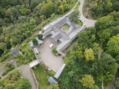 Roes - Burg Pyrmont